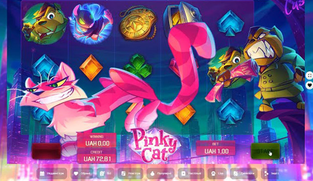 Pinky Cat