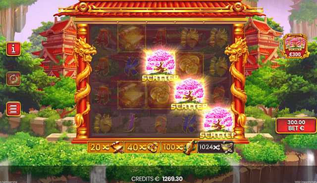 Wild Dragon's Fortune