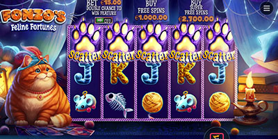 Fonzo’s Feline Fortunes