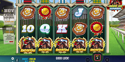 Odds On Winner