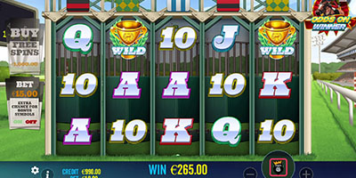 Odds On Winner