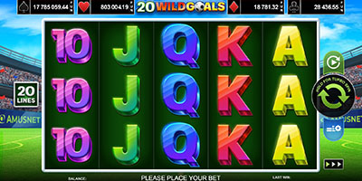 20 Wild Goals