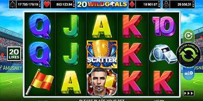 20 Wild Goals