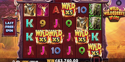 Wild Wildebeest Wins