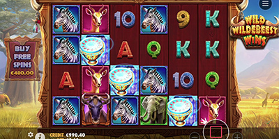 Wild Wildebeest Wins