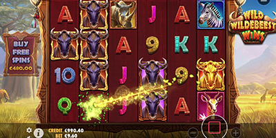 Wild Wildebeest Wins