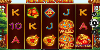 Fortune Tree Wonders