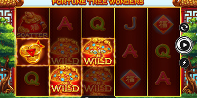 Fortune Tree Wonders