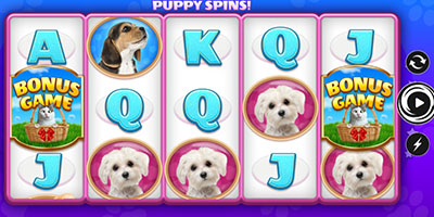 Puppy Spins!