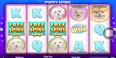Puppy Spins!