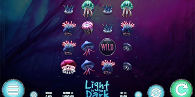 Light in the Dark