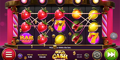 Wild Cash Spins