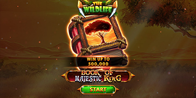 Book Of Majestic King