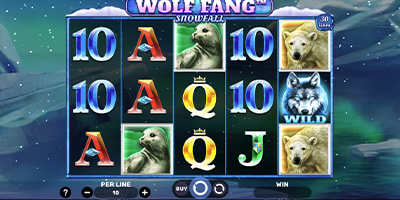 Wolf Fang - SnowFall