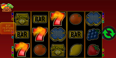 Big Max Clover Collect