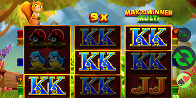 Max the Winner Multi