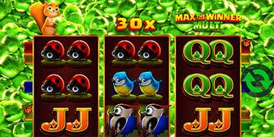 Max the Winner Multi