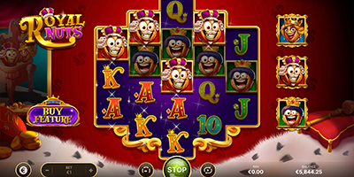 Royal Nuts