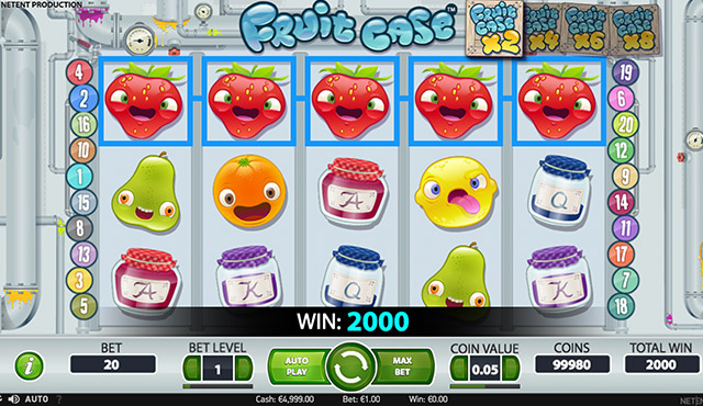 Fruit Case