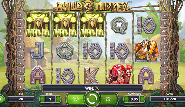 Wild Turkey