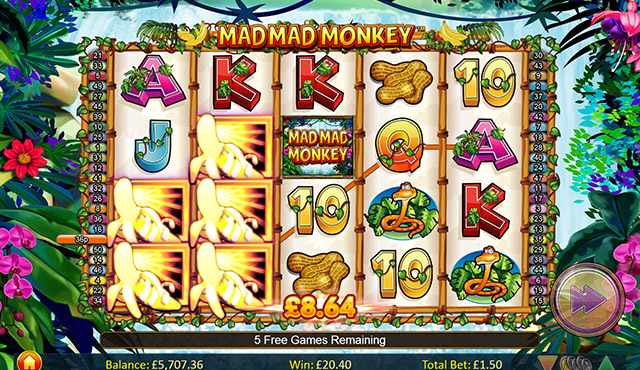 Mad Mad Monkey