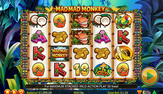 Mad Mad Monkey