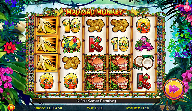 Mad Mad Monkey