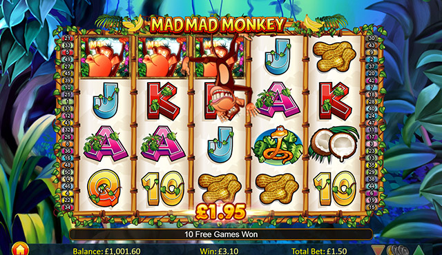 Mad Mad Monkey