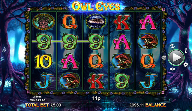 Owl Eyes