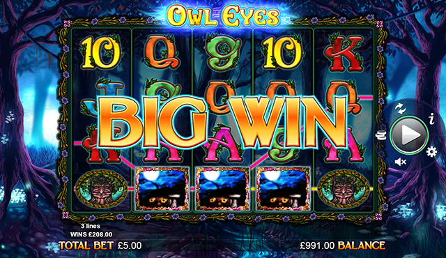 Owl Eyes