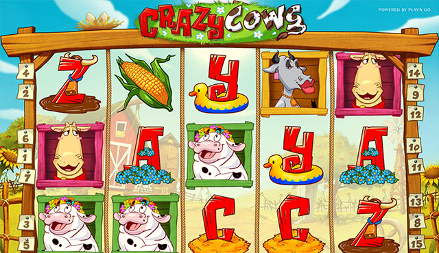 Crazy Cows