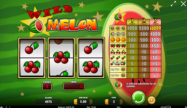 Wild Melon