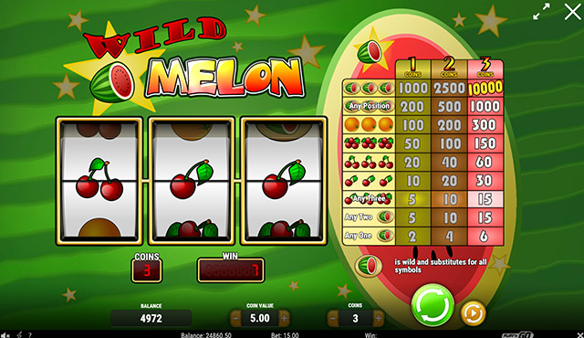 Wild Melon