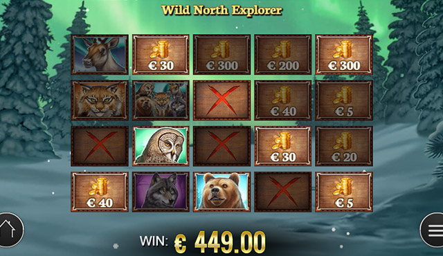 Wild North