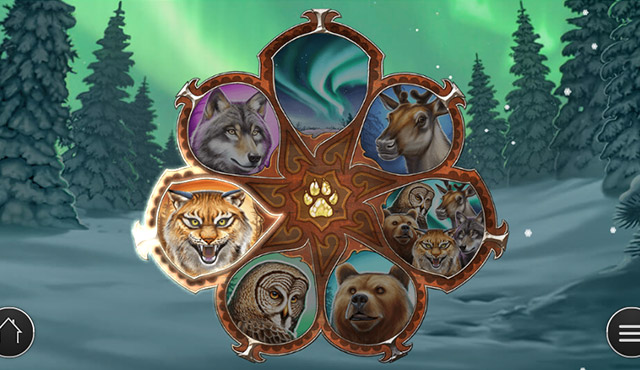 Wild North