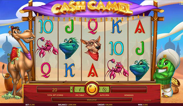 Cash Camel