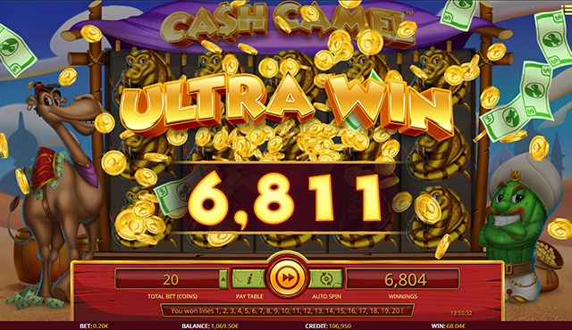Cash Camel