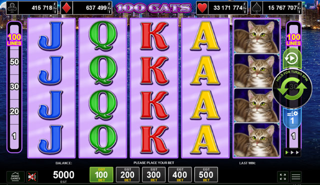 100 Cats