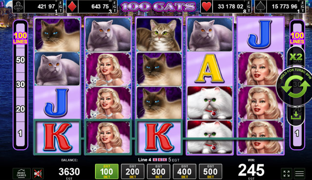 100 Cats