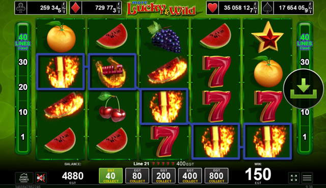 More Lucky & Wild