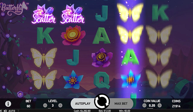 Butterfly Staxx