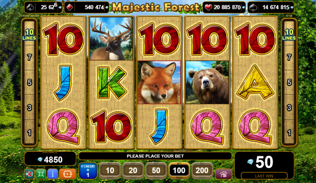 Majestic Forest