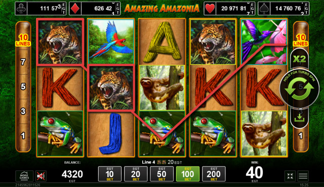 Amazing Amazonia