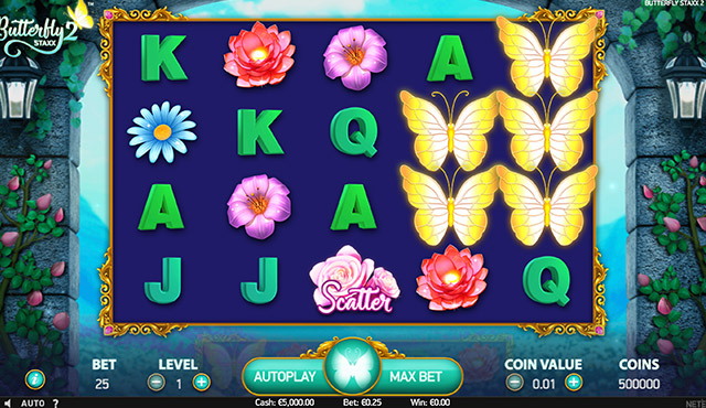 Butterfly Staxx 2
