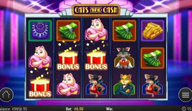 Cats and Cash