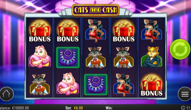 Cats and Cash