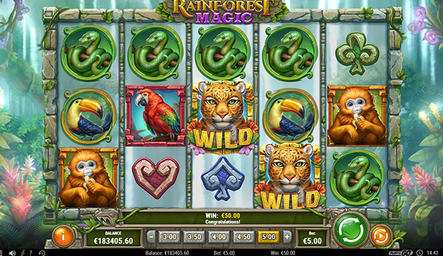 Rainforest Magic