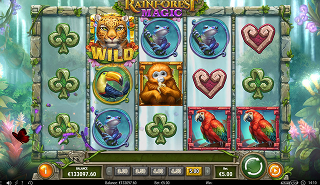 Rainforest Magic