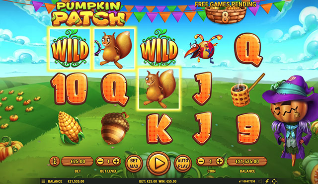 Pumpkin Patch