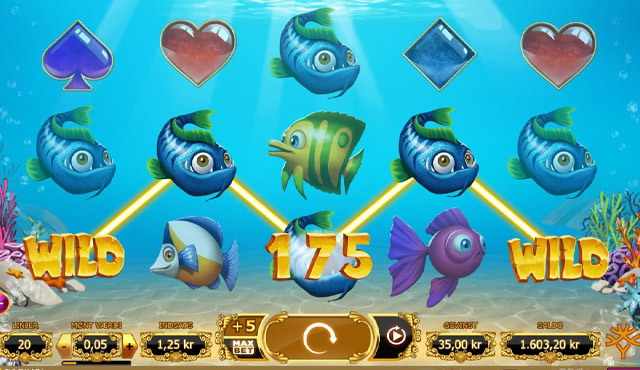 Golden Fish Tank